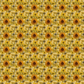 sunflowers in febuary 