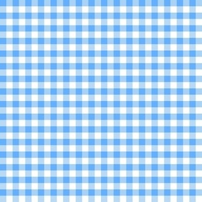 Baby Blue Gingham