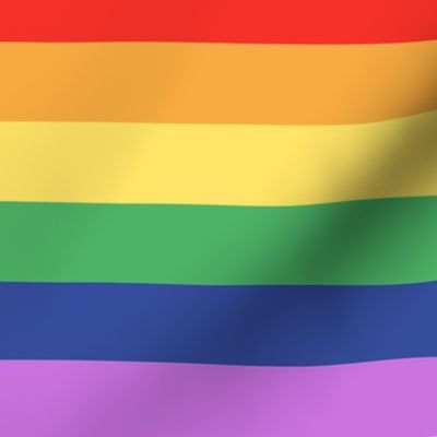 LGBTQ queer stripes rainbow pride flag horizontal LARGE