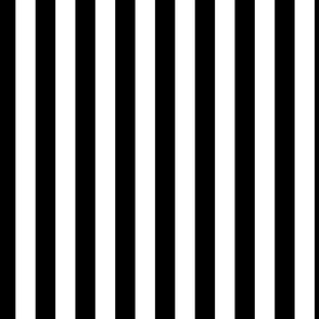 Vertical Cabana Stripe Narrow | Black + White