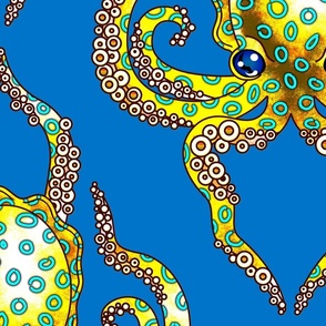 Blue Ring Octopus