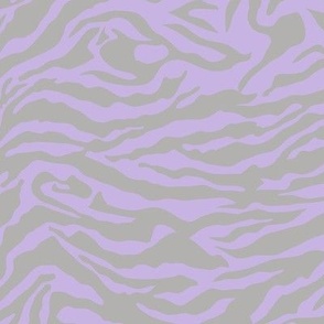 Grey and violet shading zebra