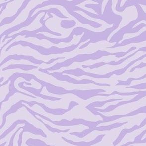 Lavender shading zebra