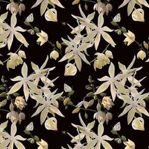 Creamy White Yucca Blossoms on Black