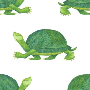 Turtle Walk - Large