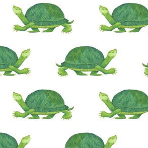 Turtle Walk - Medium