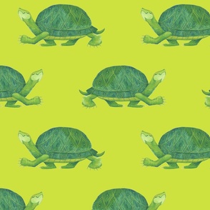 Turtle Walk on Lime - Medium