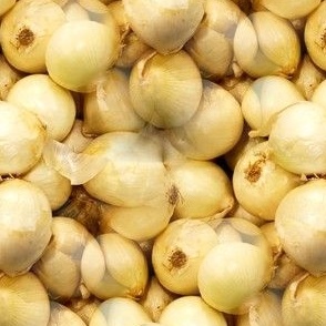 White Onions