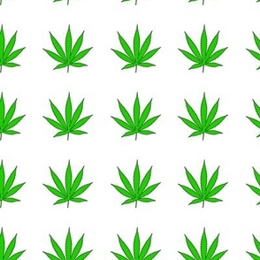 White Repeating Pot Pattern, Marijuana Leaves, 420 - Medium 