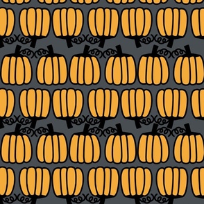 Rows of pumpkins - Large scale