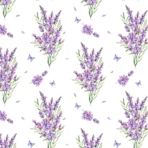 Lavender flowers