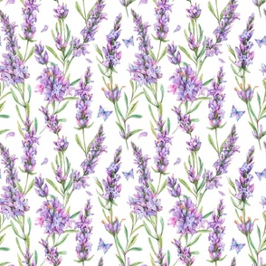 Watercolor lavender