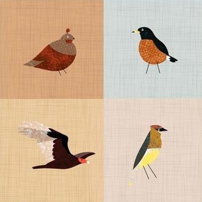 An Alphabet of Birds Cheater Quilt No text 4in squares