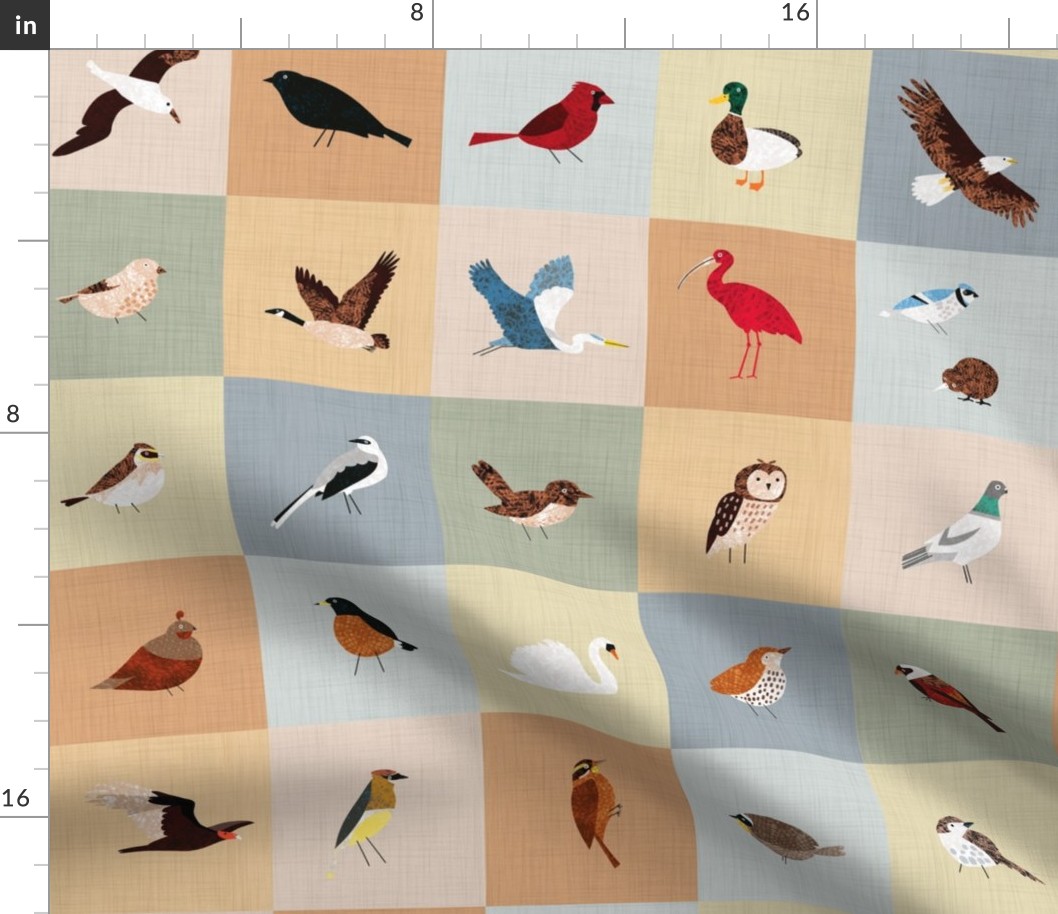 An Alphabet of Birds Cheater Quilt No text 4in squares