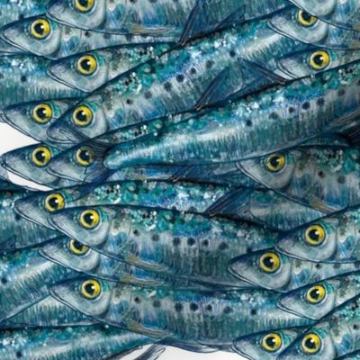 Swimming Sardines