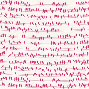 Pink Birds on Wire with woodgrain background