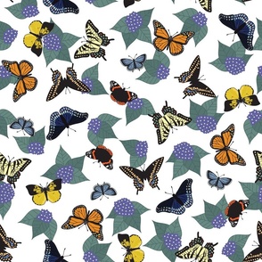 Butterfly Garden - XL White