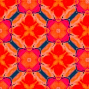 Orange Lattice