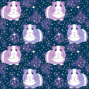 medium galaxy guinea pigs