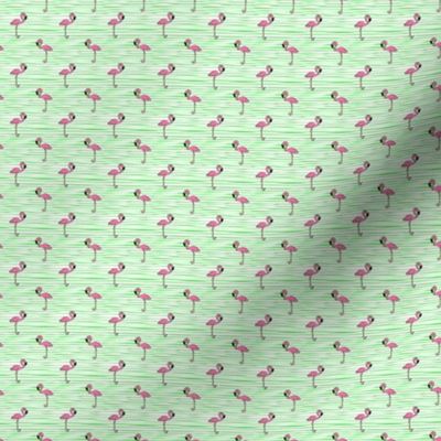 (extra small scale) Flamingos on stripes // green C22