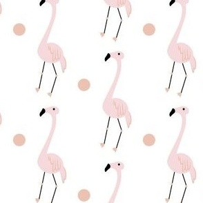 small - pink flamingo on a white background