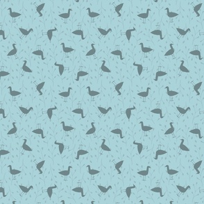 grey geese - blue grey