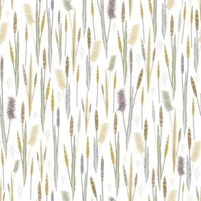 grass and reeds