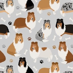 Rough Collie Paws and Bones Gray
