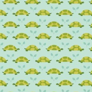 Turtle Parafe - Aqua