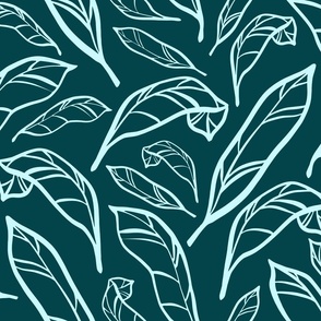 Outlined Dark Teal Calatheas Large Scale