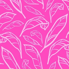 Outlined Hot Pink Calatheas Large Scale