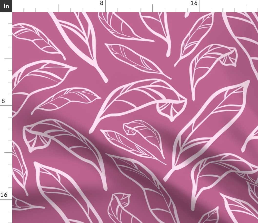 Outlined Pink Calatheas Large Scale