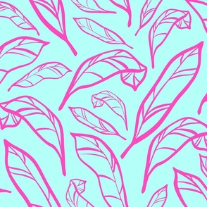 Outlined Pink Teal Calatheas Large Scale