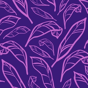 Outlined Purple Pink Calatheas Large Scale
