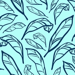 Outlined Teal Calatheas Large Scale