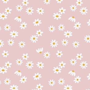 falling daisies - blush pink