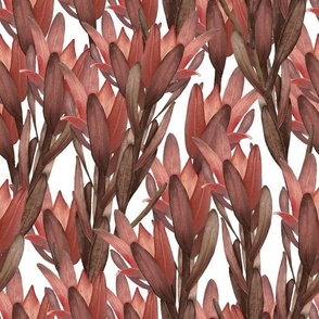 red dracaena branches | white | watercolor Velvet collection