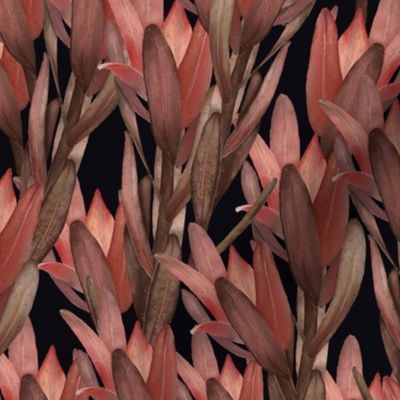 red dracaena branches | midnight black | watercolor Velvet collection