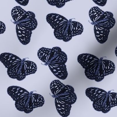 Blue butterflies