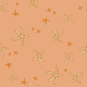 Starfish or sea stars- orange, multi-directional
