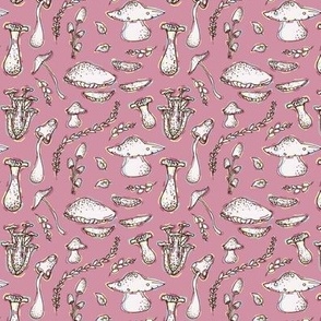 Trippy Mushrooms on Pink