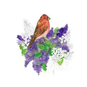 Purple Finch & Lilac