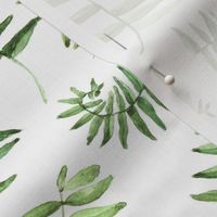 Watercolor Fern Fronds on White by Brittanylane