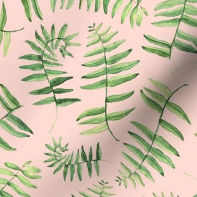 Watercolor Fern Fronds on Coral by Brittanylane