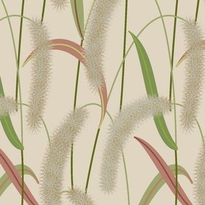 Foxtail Grasses - Medium