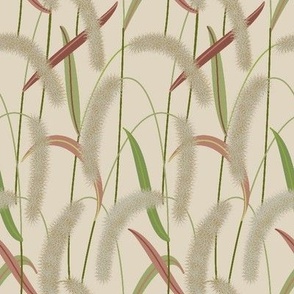 Foxtail Grasses - Small