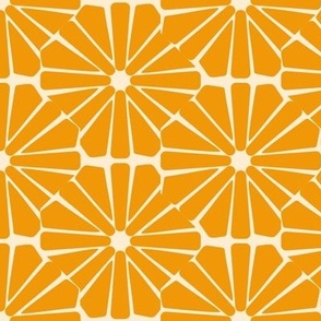 Abstract Orange Slices