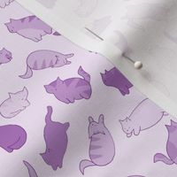 purple kittens on lavender - ELH