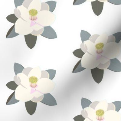 pale magnolia - aqua white