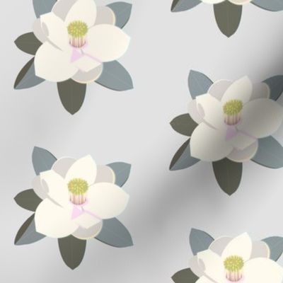 pale magnolia - aqua grey